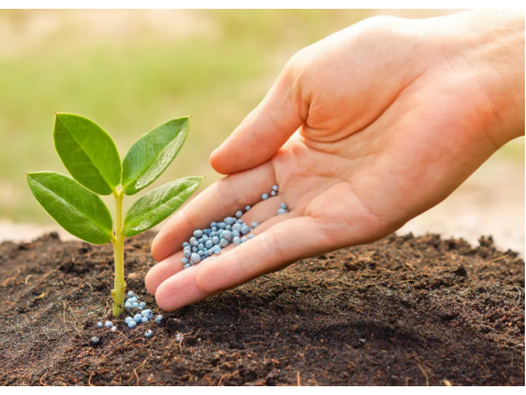 Nitrogen fertilizers: what they are used for and what nuances need to be considered