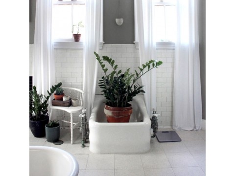 Before and After: Bathroom Greening