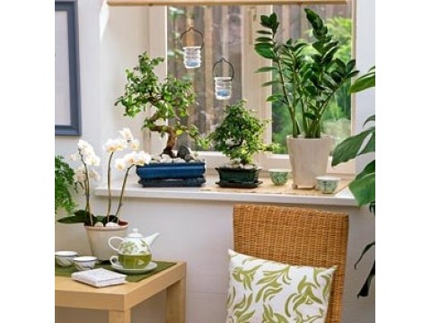 Ideal plant combinations