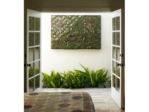 Placing plants in the interior