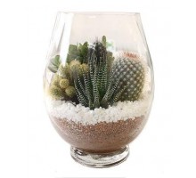 Composition Vase with cacti and succulents