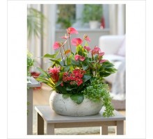 Composition "Anthurium"