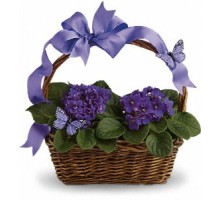 Gift basket with violets