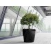 Plastic pots Classico Premium LS