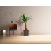 Flowerpot with insert Yucca Chisel (Dluto), Lamela, 19*19*19.5