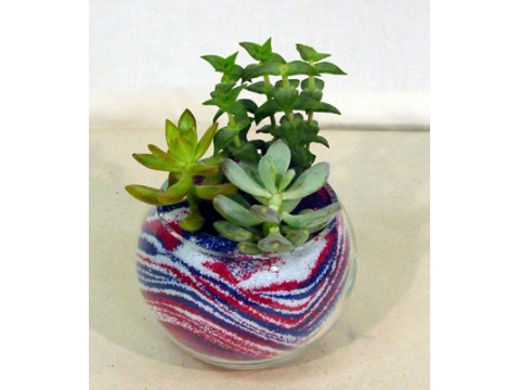 Online store "Fleur" expands its assortment