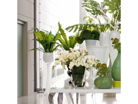 Phytodesign and flower arrangements