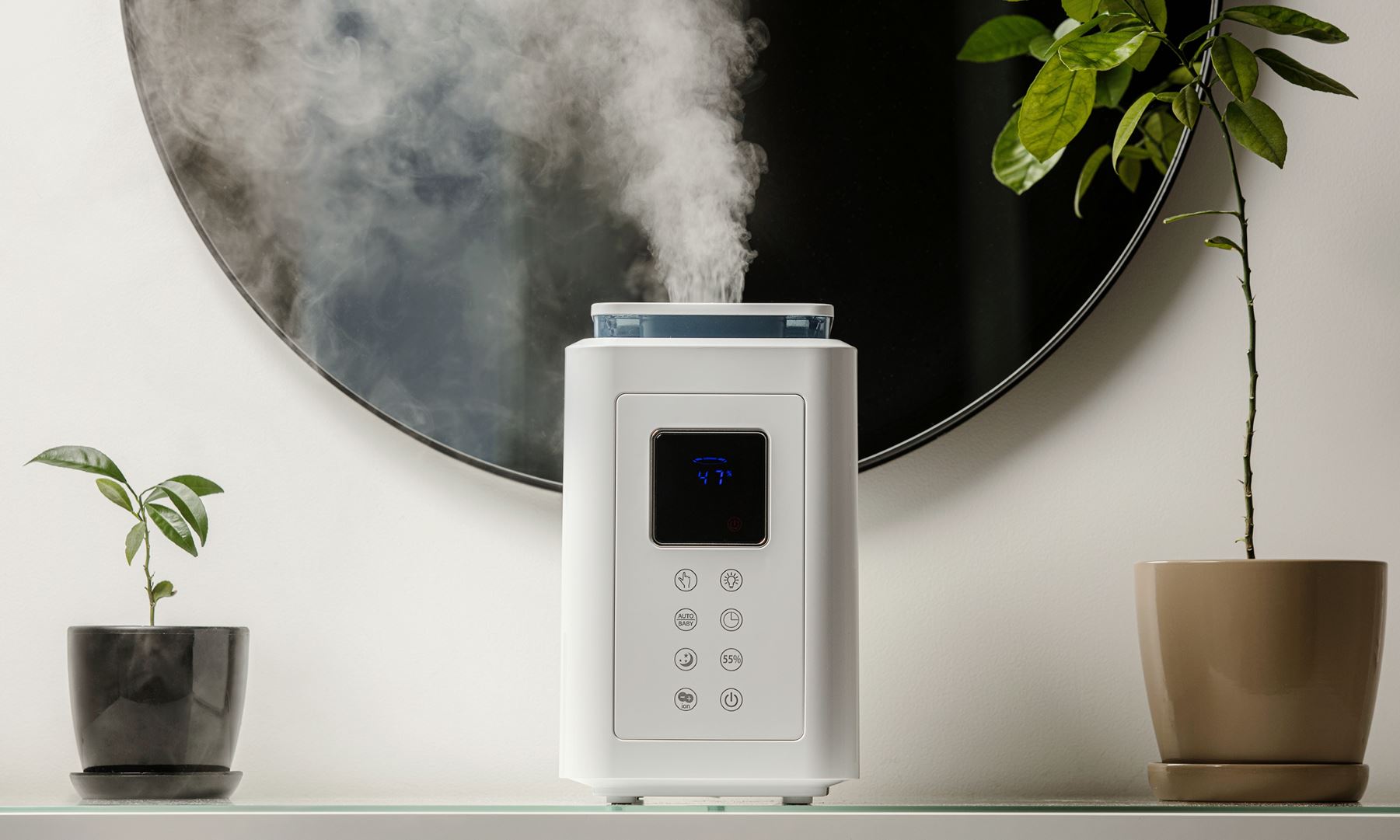 Steam humidifier