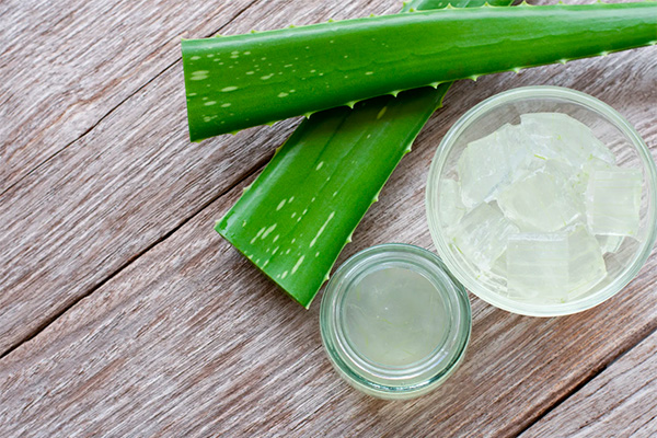 how to get aloe juice