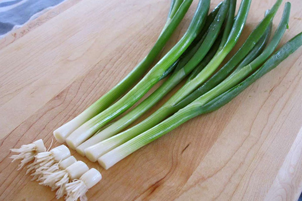 How to grow green onions at home