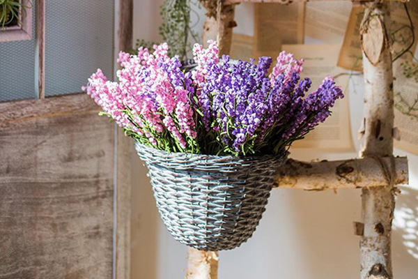 Lavender at home as decor