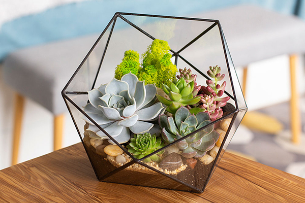 what is a florarium