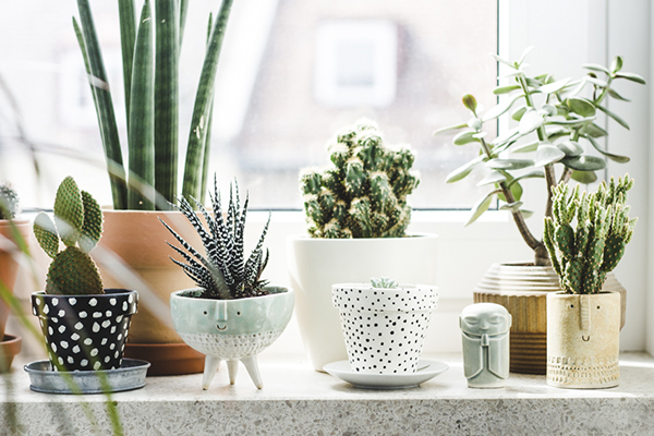 What are the best materials for flower pots?