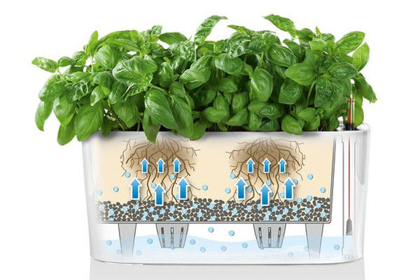 types of boxes for greening balconies