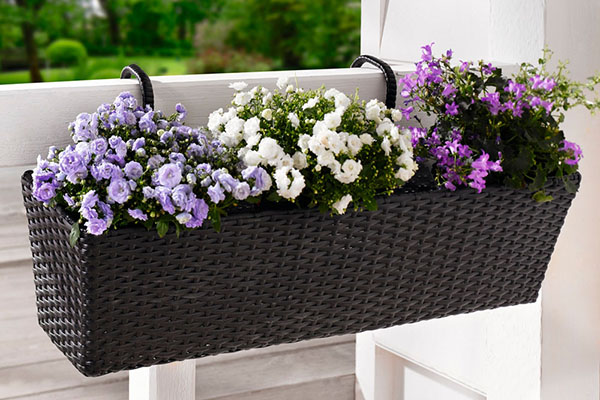 what types of flower boxes are there?