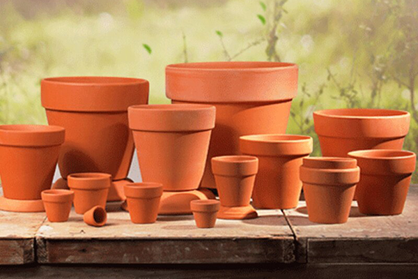 containers for plants: pots, planters and vases